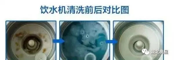 您的飲水機(jī)多久沒有清洗了？快點(diǎn)開看看吧！